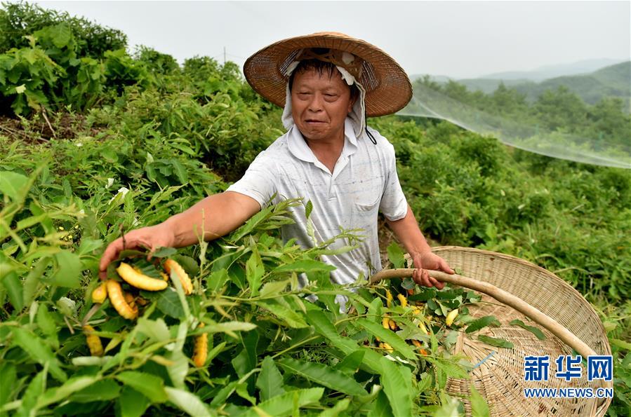 亚洲荣耀!孙兴慜本季欧冠进球超梅罗总和,自然年欧冠进球排第一_十大外围足球大平台(图2) 十大外围足球平台app