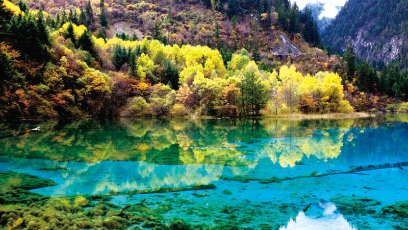 十大外围足球平台app