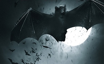 十大外围足球平台app手机版