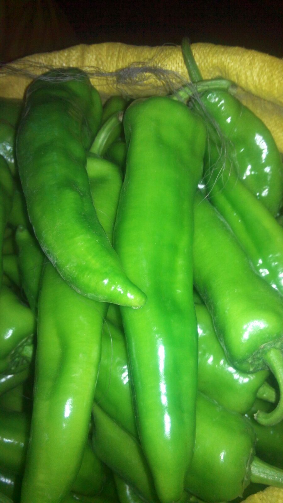 十大外围足球平台app