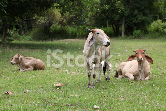 十大外围足球平台app手机版