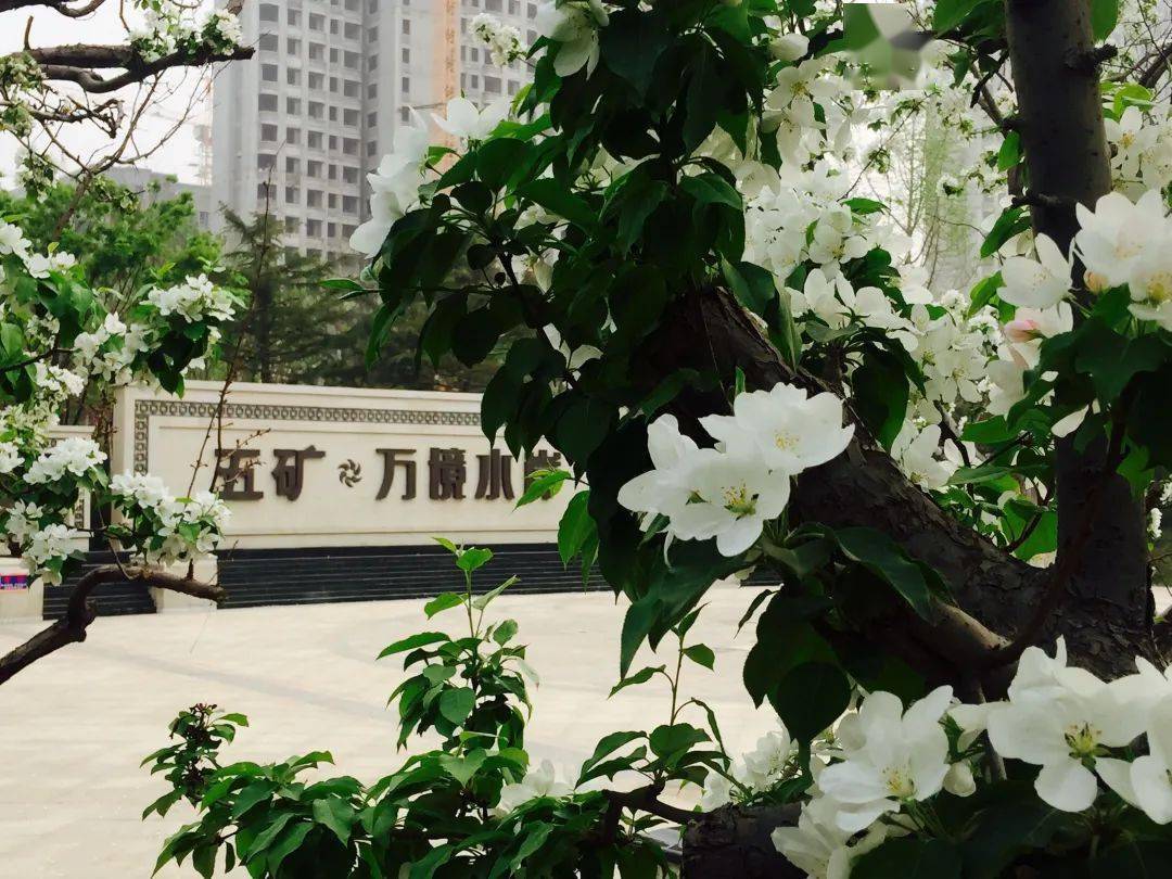 
童画世界 “足”够精彩丨首届少儿大型艺术展&热血足球联赛 火热启幕-十大外围足球平台app(图5)